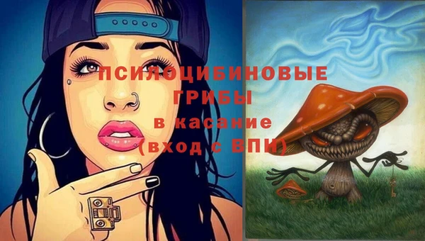 спайс Вяземский