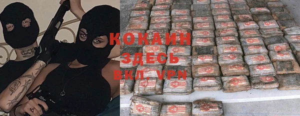 спайс Вяземский