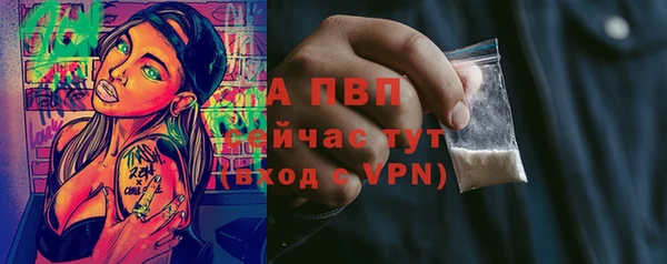 спайс Вяземский