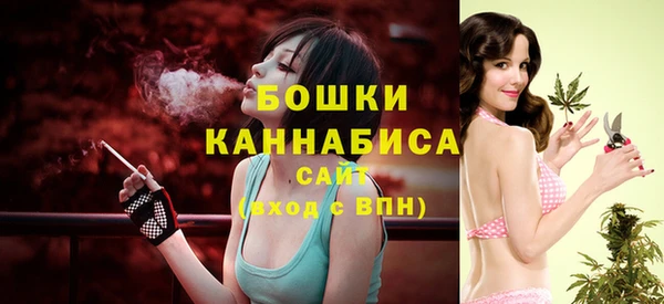 спайс Вяземский